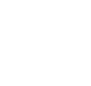 Theiner Logo_-02